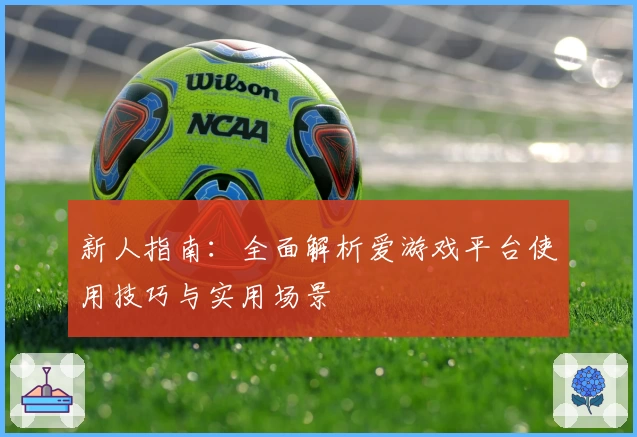 新人指南：全面解析爱游戏平台使用技巧与实用场景